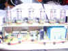 Picture_7.jpg (82615 Byte)